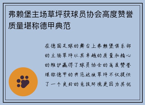 弗赖堡主场草坪获球员协会高度赞誉质量堪称德甲典范